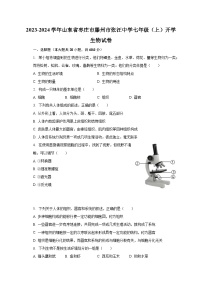 2023-2024学年山东省枣庄市滕州市张汪中学七年级（上）开学生物试卷（含解析）