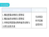 人教版八年级生物上册第五单元第一章第一节腔肠动物和扁形动物教学课件