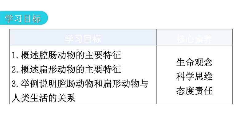 人教版八年级生物上册第五单元第一章第一节腔肠动物和扁形动物教学课件03