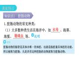 人教版八年级生物上册第五单元第一章第一节腔肠动物和扁形动物教学课件