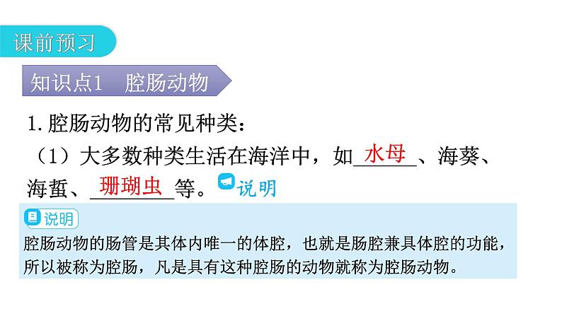 人教版八年级生物上册第五单元第一章第一节腔肠动物和扁形动物教学课件04