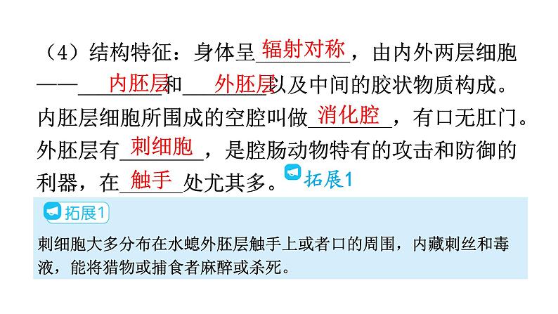 人教版八年级生物上册第五单元第一章第一节腔肠动物和扁形动物教学课件06