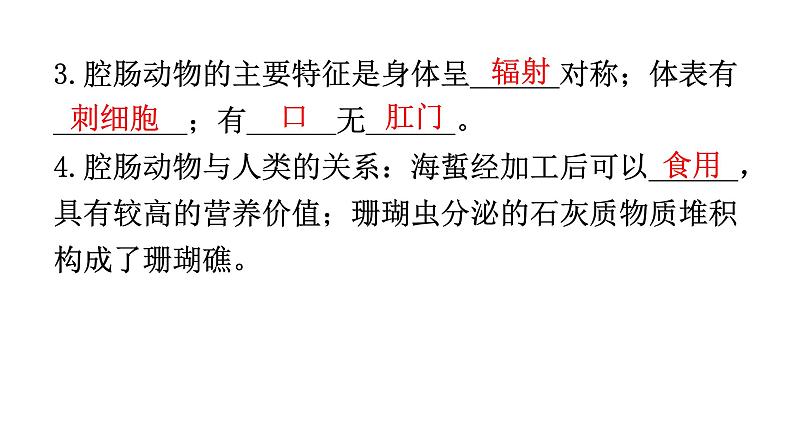 人教版八年级生物上册第五单元第一章第一节腔肠动物和扁形动物教学课件08