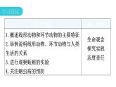 人教版八年级生物上册第五单元第一章第二节线形动物和环节动物教学课件