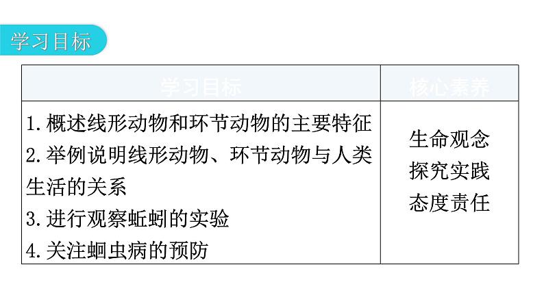 人教版八年级生物上册第五单元第一章第二节线形动物和环节动物教学课件第3页