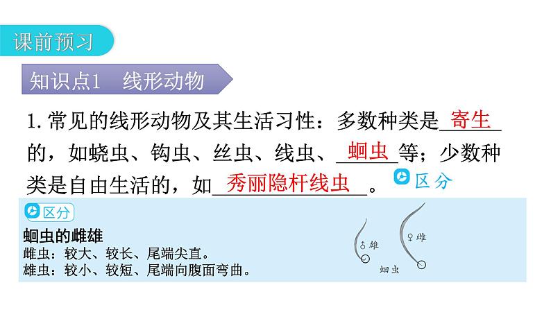 人教版八年级生物上册第五单元第一章第二节线形动物和环节动物教学课件第4页