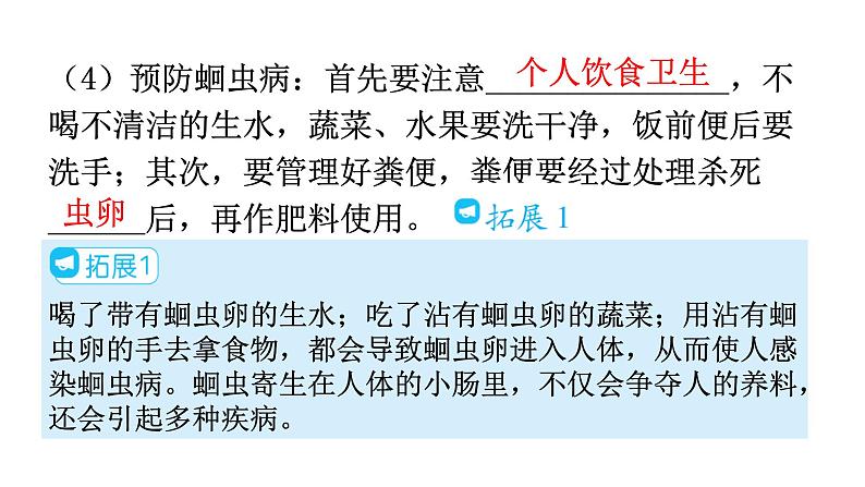 人教版八年级生物上册第五单元第一章第二节线形动物和环节动物教学课件第7页