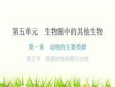 人教版八年级生物上册第五单元第一章第五节两栖动物和爬行动物教学课件