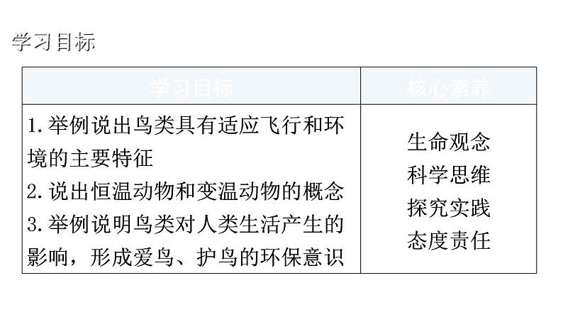 人教版八年级生物上册第五单元第一章第六节鸟教学课件第3页