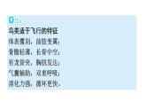 人教版八年级生物上册第五单元第一章第六节鸟教学课件