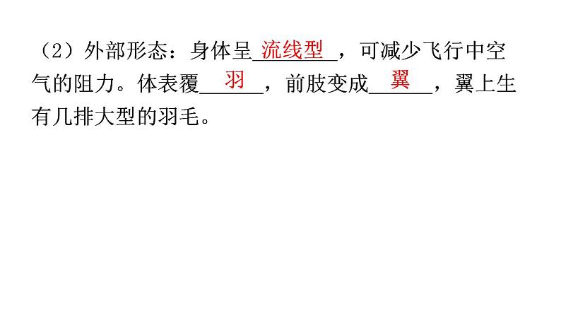 人教版八年级生物上册第五单元第一章第六节鸟教学课件第7页