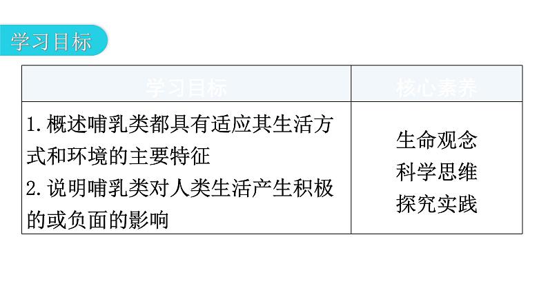 人教版八年级生物上册第五单元第一章第七节哺乳动物教学课件第3页