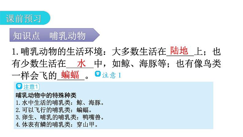 人教版八年级生物上册第五单元第一章第七节哺乳动物教学课件第4页