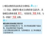 人教版八年级生物上册第五单元第一章第七节哺乳动物教学课件