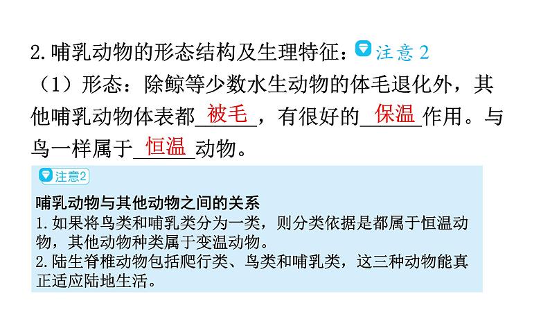 人教版八年级生物上册第五单元第一章第七节哺乳动物教学课件第5页