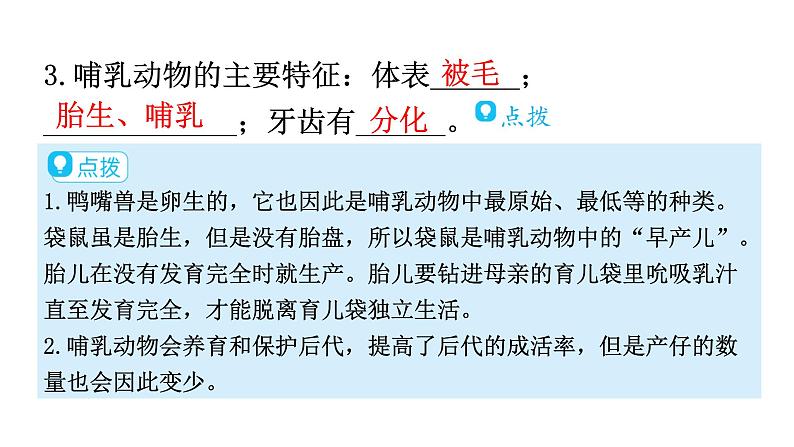 人教版八年级生物上册第五单元第一章第七节哺乳动物教学课件第8页