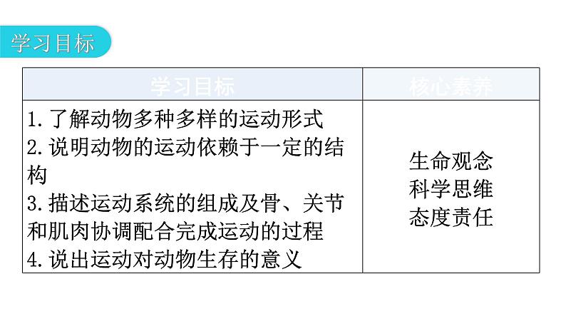 人教版八年级生物上册第五单元第二章第一节动物的运动教学课件03