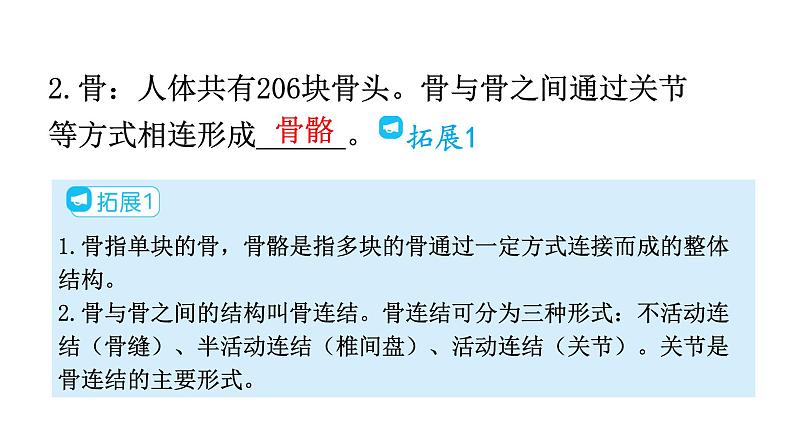 人教版八年级生物上册第五单元第二章第一节动物的运动教学课件05