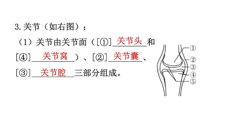 人教版八年级生物上册第五单元第二章第一节动物的运动教学课件06