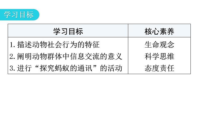 人教版八年级生物上册第五单元第二章第三节社会行为教学课件第3页