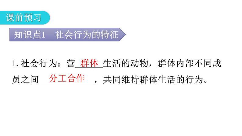 人教版八年级生物上册第五单元第二章第三节社会行为教学课件第4页