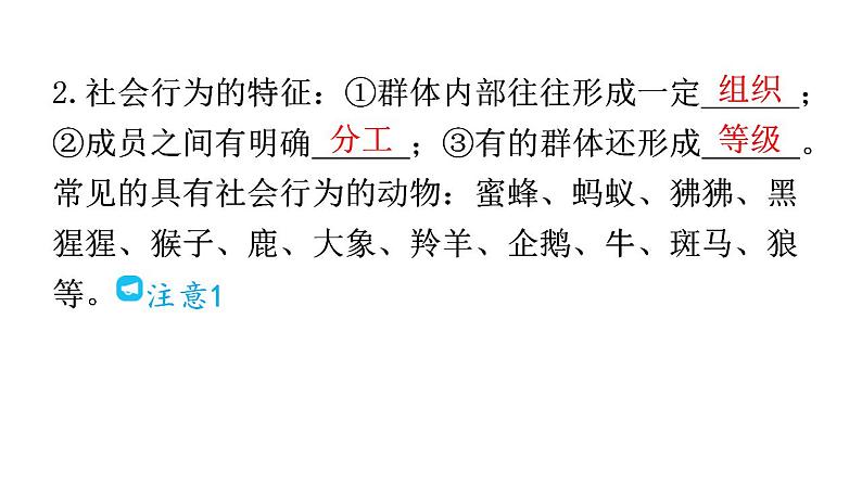 人教版八年级生物上册第五单元第二章第三节社会行为教学课件第5页