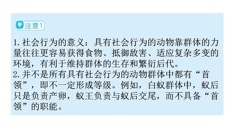 人教版八年级生物上册第五单元第二章第三节社会行为教学课件第6页