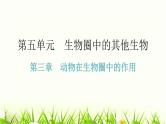 人教版八年级生物上册第五单元第三章动物在生物圈中的作用教学课件