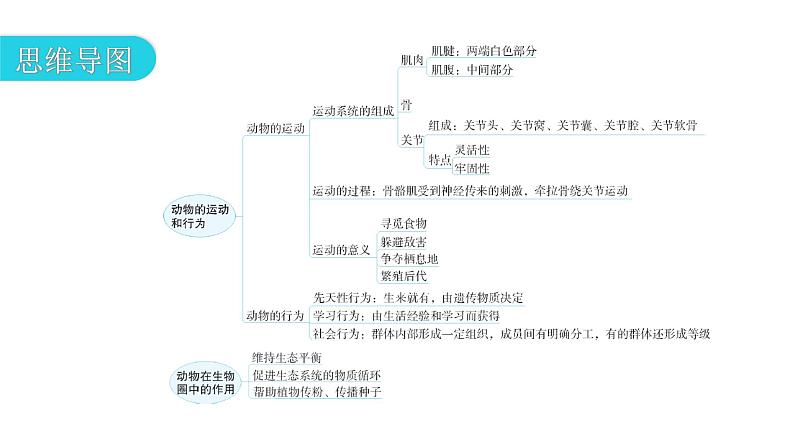 人教版八年级生物上册第五单元第二、第三章章末总结教学课件03