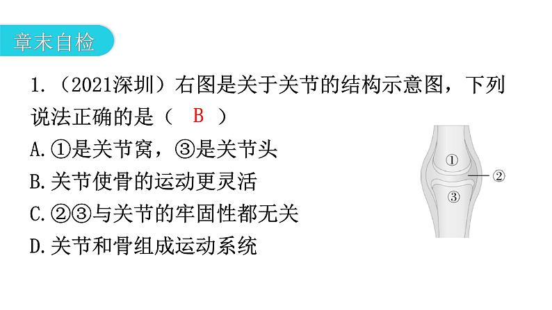 人教版八年级生物上册第五单元第二、第三章章末总结教学课件06