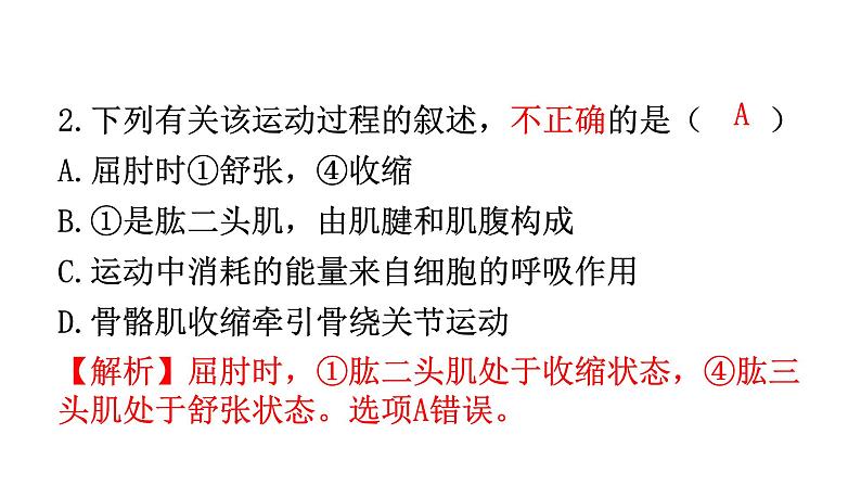 人教版八年级生物上册第五单元第二、第三章章末总结教学课件08