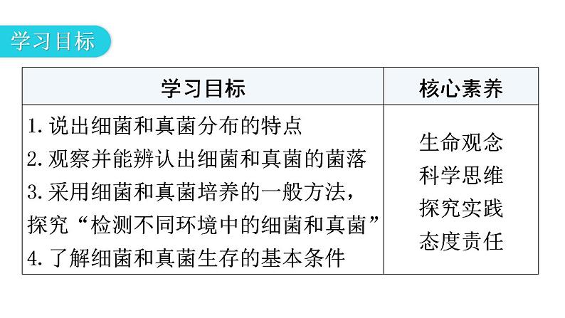 人教版八年级生物上册第五单元第四章第一节细菌和真菌的分布教学课件03