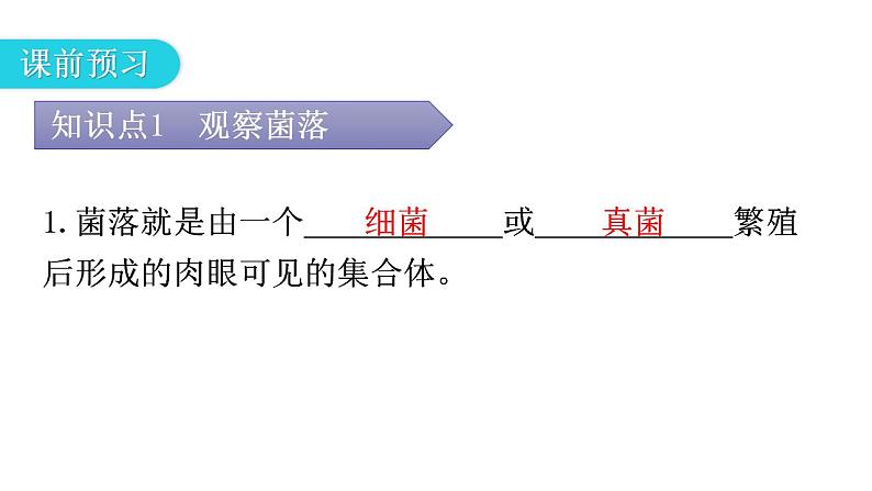 人教版八年级生物上册第五单元第四章第一节细菌和真菌的分布教学课件04