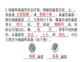 人教版八年级生物上册第五单元第四章第一节细菌和真菌的分布教学课件