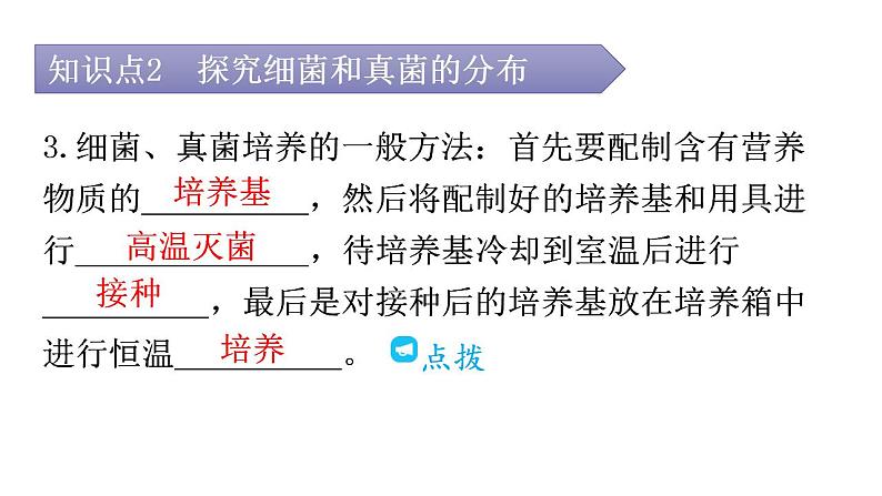 人教版八年级生物上册第五单元第四章第一节细菌和真菌的分布教学课件06