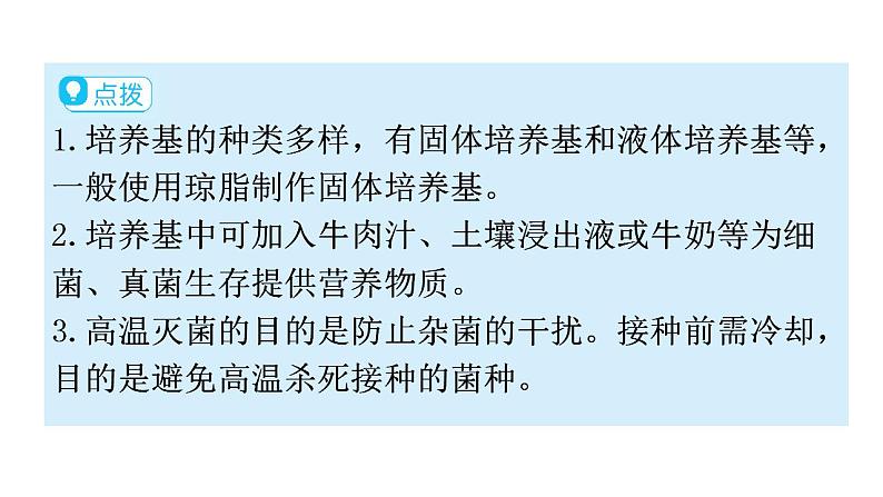 人教版八年级生物上册第五单元第四章第一节细菌和真菌的分布教学课件07