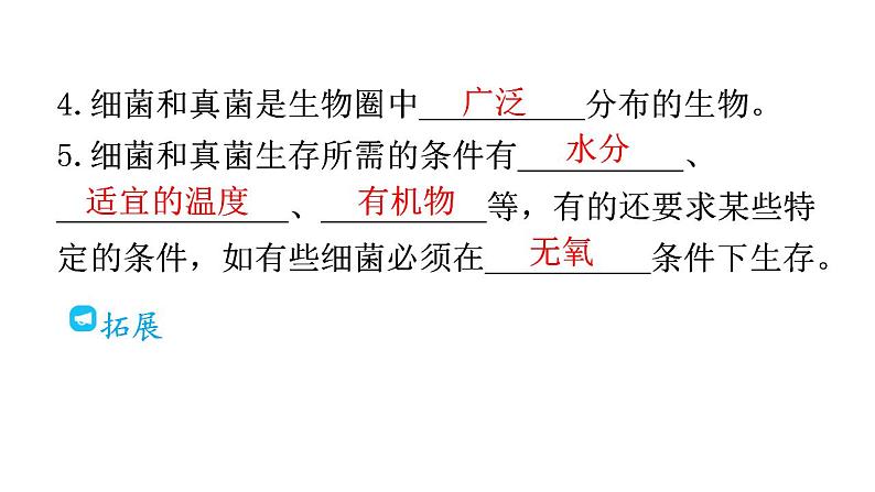 人教版八年级生物上册第五单元第四章第一节细菌和真菌的分布教学课件08