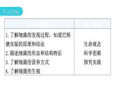 人教版八年级生物上册第五单元第四章第二节细菌教学课件