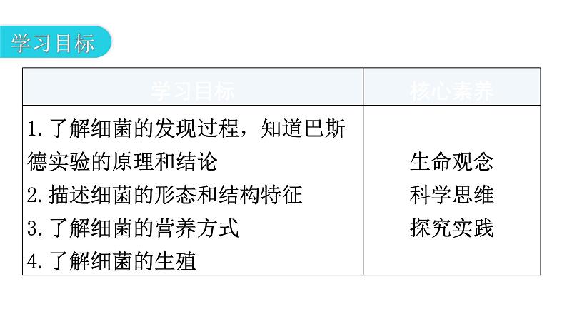 人教版八年级生物上册第五单元第四章第二节细菌教学课件第3页