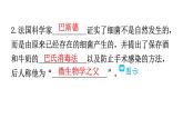 人教版八年级生物上册第五单元第四章第二节细菌教学课件