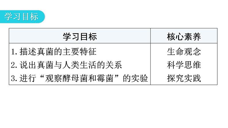 人教版八年级生物上册第五单元第四章第三节真菌教学课件03