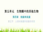 人教版八年级生物上册第五单元第四章第五节人类对细菌和真菌的利用教学课件