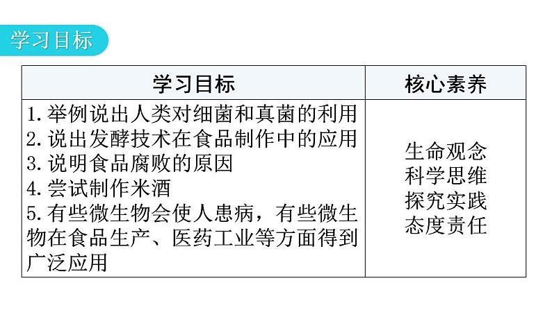 人教版八年级生物上册第五单元第四章第五节人类对细菌和真菌的利用教学课件03