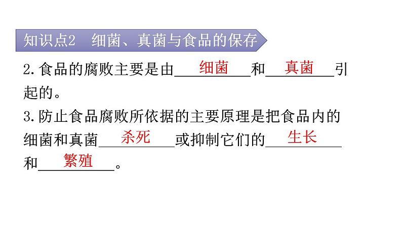 人教版八年级生物上册第五单元第四章第五节人类对细菌和真菌的利用教学课件05