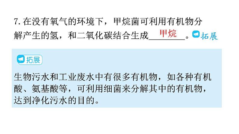 人教版八年级生物上册第五单元第四章第五节人类对细菌和真菌的利用教学课件08