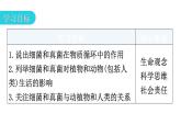 人教版八年级生物上册第五单元第四章第四节细菌和真菌在自然界中的作用教学课件