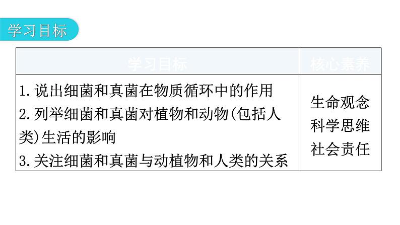 人教版八年级生物上册第五单元第四章第四节细菌和真菌在自然界中的作用教学课件03