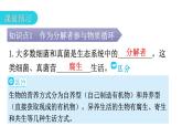 人教版八年级生物上册第五单元第四章第四节细菌和真菌在自然界中的作用教学课件