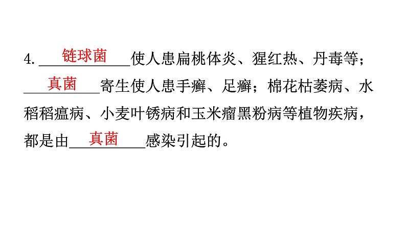 人教版八年级生物上册第五单元第四章第四节细菌和真菌在自然界中的作用教学课件07