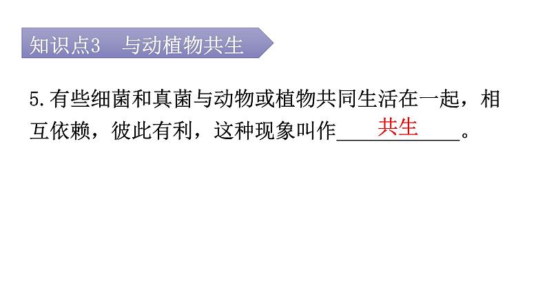 人教版八年级生物上册第五单元第四章第四节细菌和真菌在自然界中的作用教学课件08